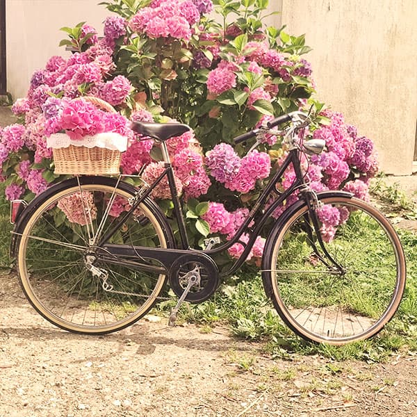 Bicyclette vintage