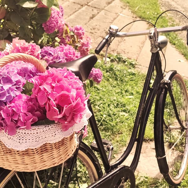 Miniature Bicyclette