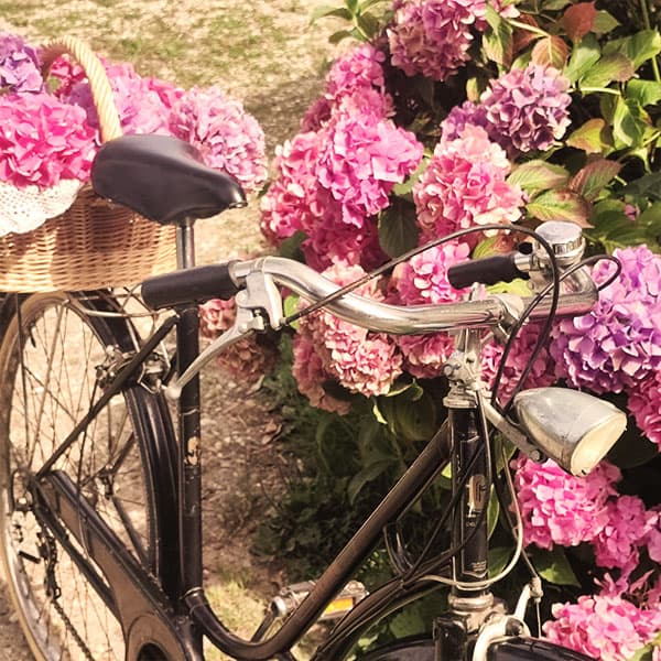 Miniature Bicyclette