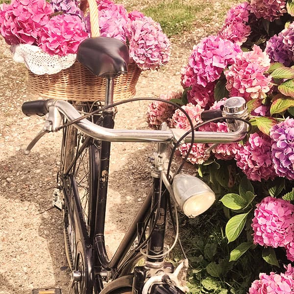 Miniature Bicyclette