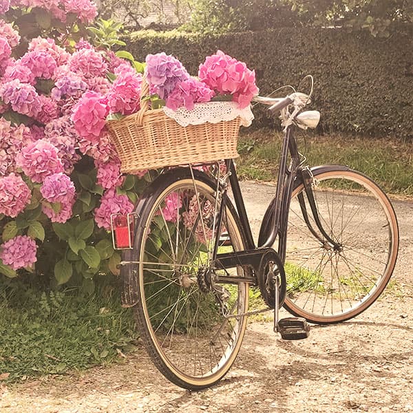 Miniature Bicyclette