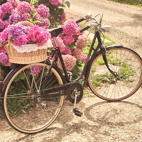 Miniature Bicyclette