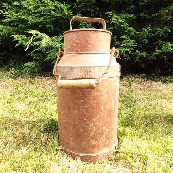 Miniature Bro a lait