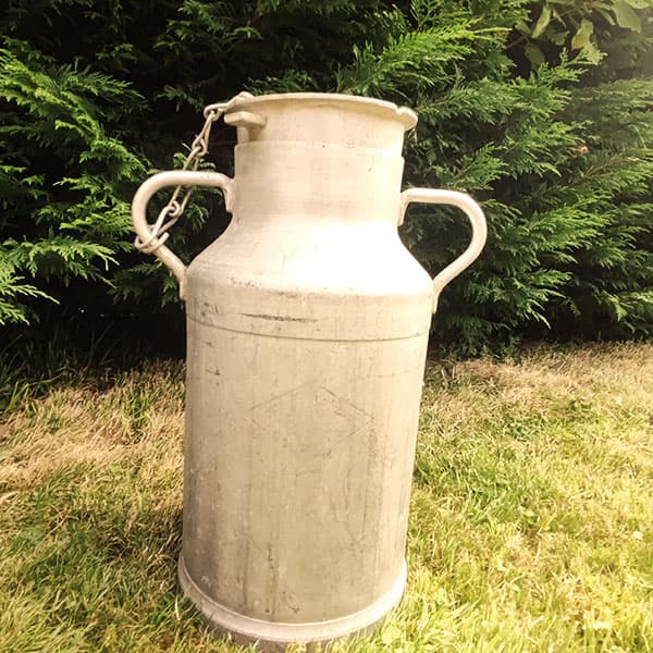 Miniature Bro a lait