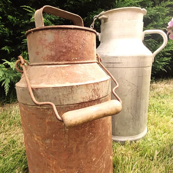 Miniature Bro a lait