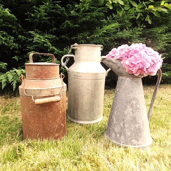 Miniature Bro a lait