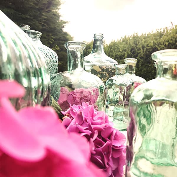 Miniature Dames jeanne